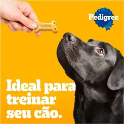BISCOITO BISCROK PEDIGREE FILHOTES SABOR LEITE 300G