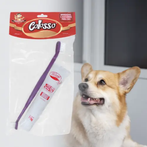 KIT DENTAL COLOSSO PET 11CM + GEL