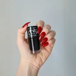 ESMALTE ANITA MODO AVIÃO - OLHAR PELA JANELA 10ML