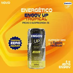 ENGOV UP SABOR FRUTAS TROPICAIS 269ML
