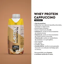 LAVITAN WHEY PROTEIN 15G - BEBIDA PROTEICA SABOR CAPPUCCINO 250ML