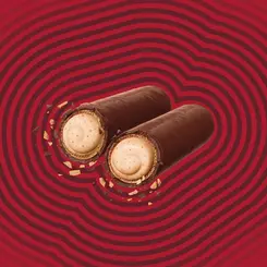 BARRA PROTEICA BOLD TUBE SPECULOOS 40G