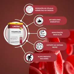 LAVITAN VITAMINA B12 COM 100 COMPRIMIDOS