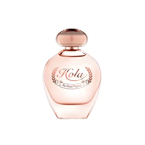 HOLA NEW BRAND PRESTIGE PERFUME FEMININO 100ML