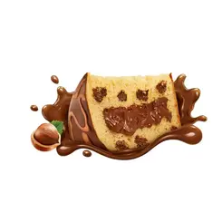 BAUDUCCO CHOCOTTONE RECHEIO COM CHOCOLATE COM AVELÃ 450G