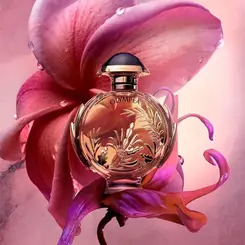 OLYMPEA SOLAR RABANNE PERFUME FEMININO EAU DE PARFUM 50ML