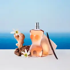 JEAN PAUL GAUTIER CLASSIQUE PERFUME FEMININO EAU DE TOILETTE 100ML